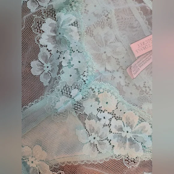 NWT Victoria’s Secret Body By Victoria Mint Floral Lace Mesh Hiphugger Panty L - Picture 5 of 6